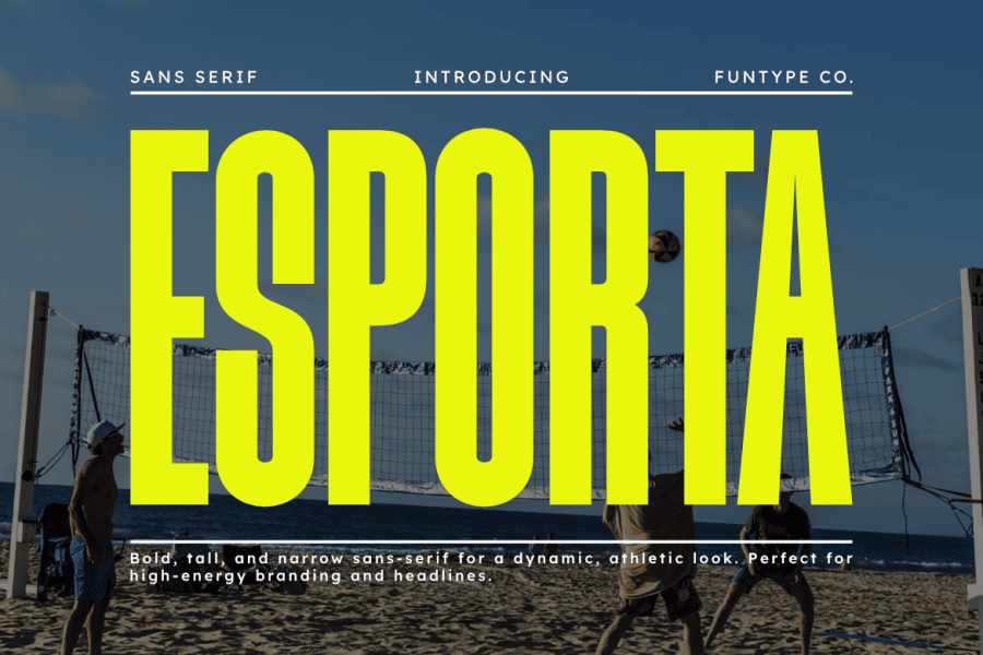 1001 Fonts tweet media