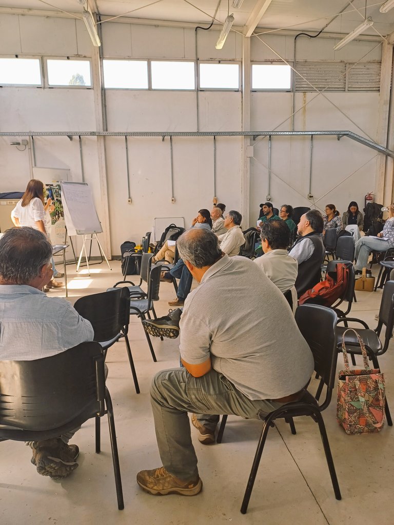 Carlos Molina Riccetto tweet media