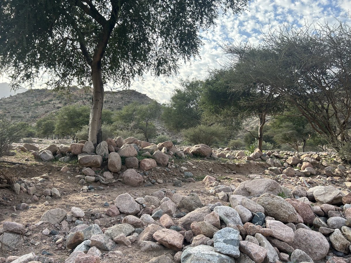 فيصل الهذلي |مقاوم لعدة أمراض نفسية| كاتب سيناريو tweet media