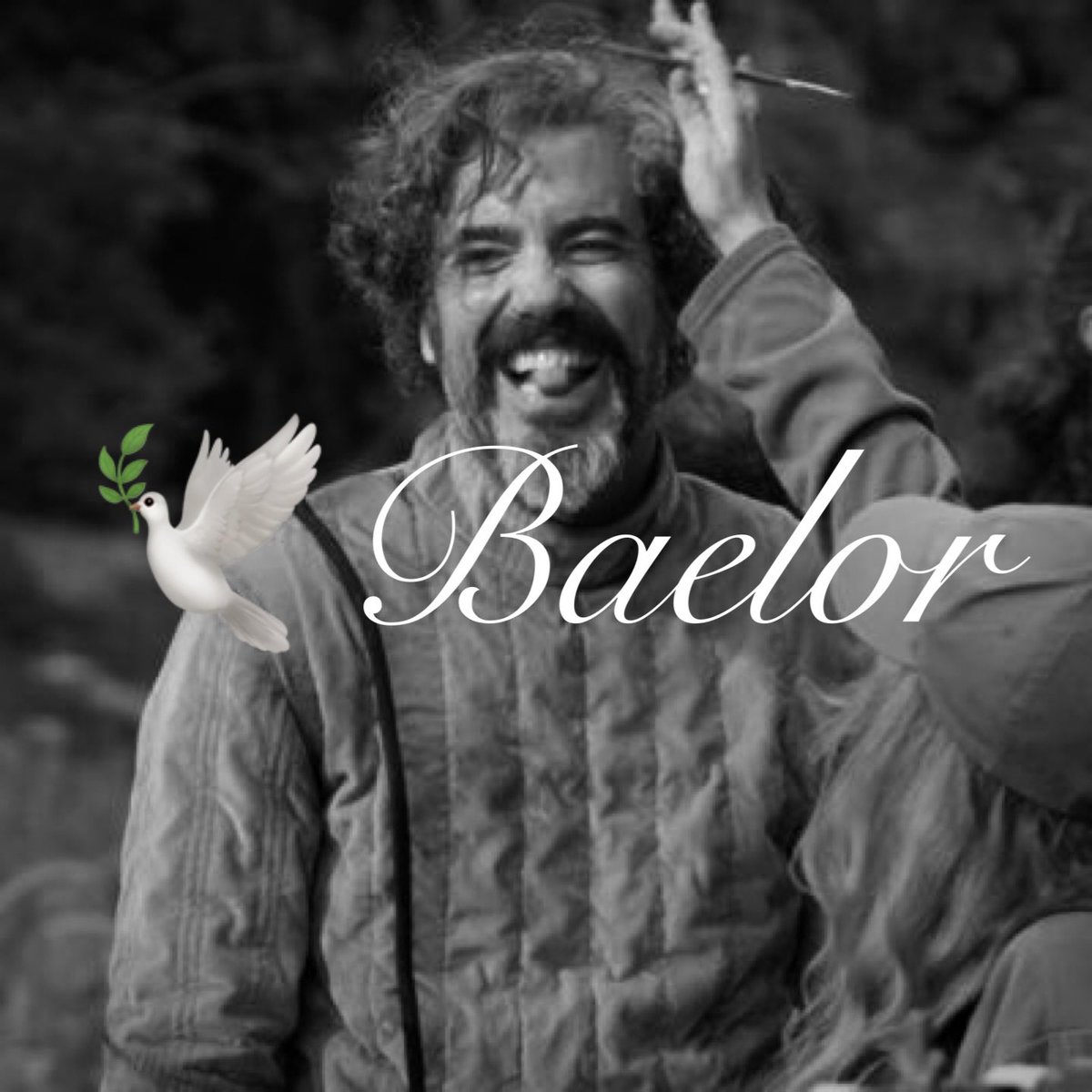 thorne ✶ tweet media