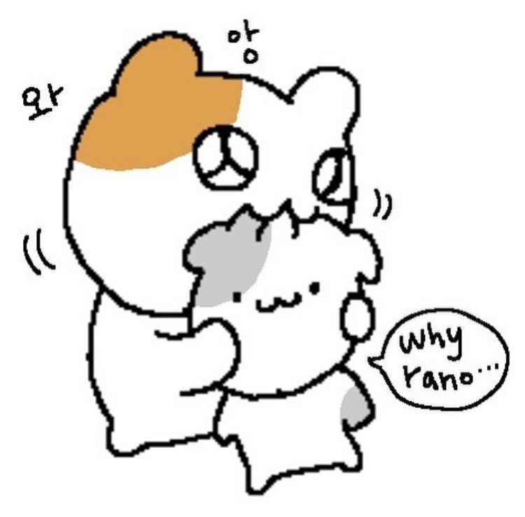 코코볼🍫 tweet media