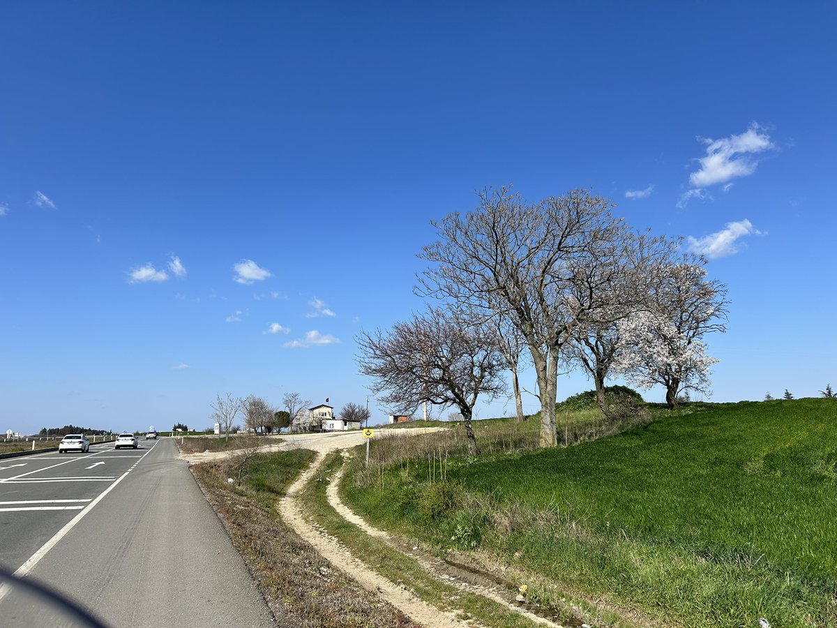 birliman tweet media