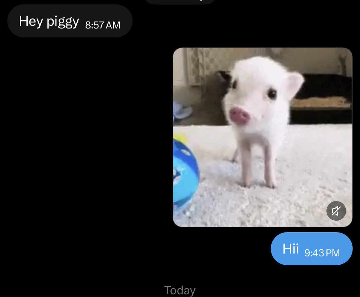 rudie ৻ꪆ 🐖 tweet media