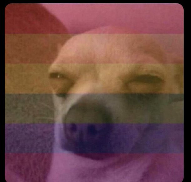 ABIKE♈️❤️ tweet media