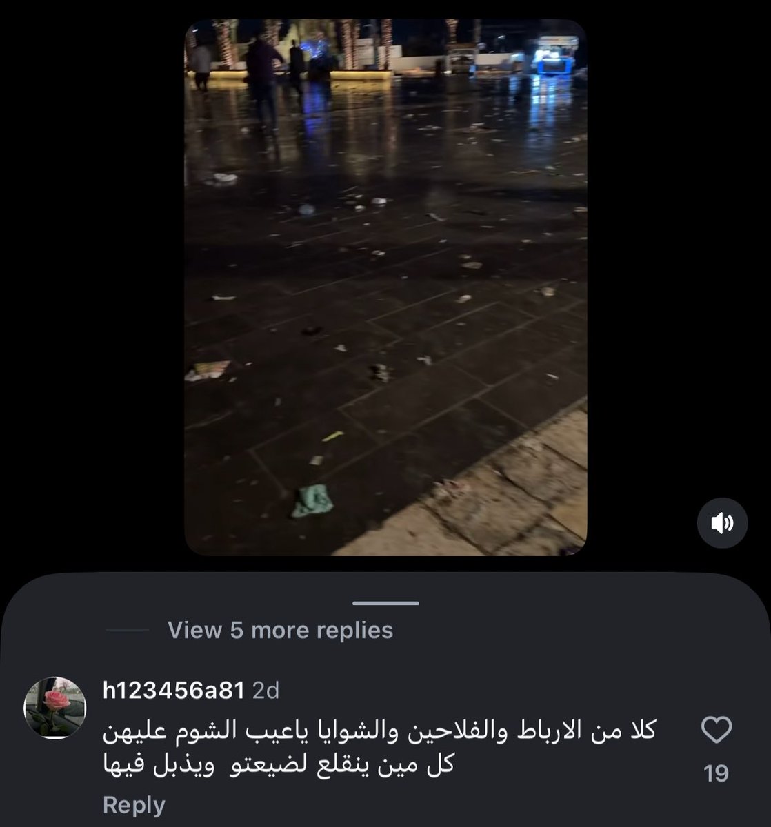 𓆞 𓆜 𓆝 tweet media