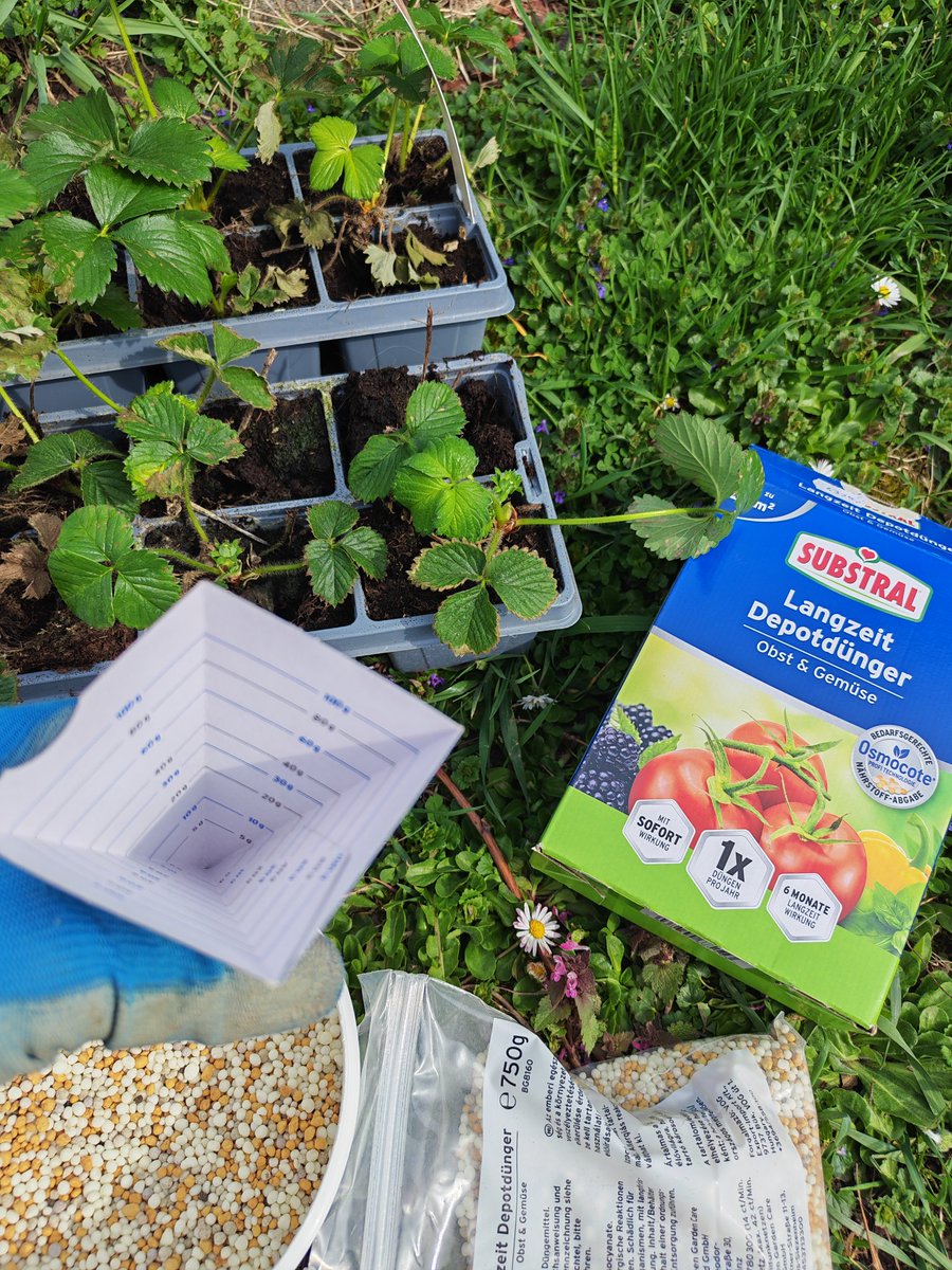 𝕭𝖆𝖗𝖔𝖓𝖊𝖘𝖘𝖘 🇭🇺🇪🇺❤️ tweet media