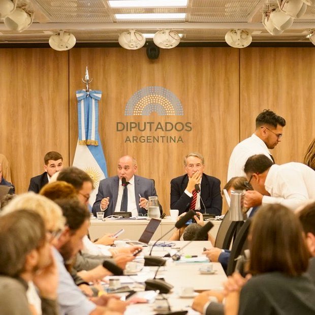 Sofía Nunes tweet media