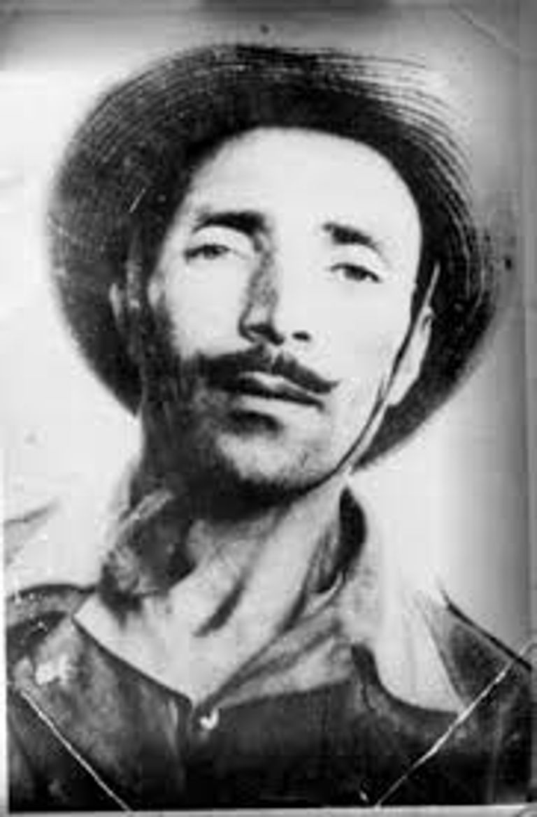 𝐖𝐀𝐋𝐈𝐃 tweet media