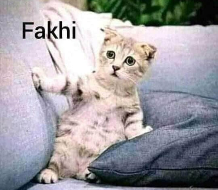 Thando ⭐🌙 tweet media