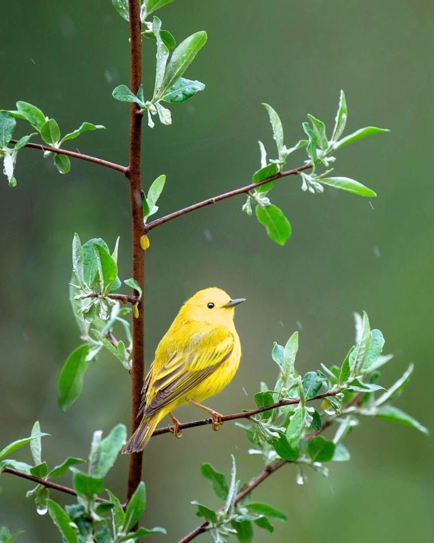 🦋🦋T71🦋🦋 tweet media