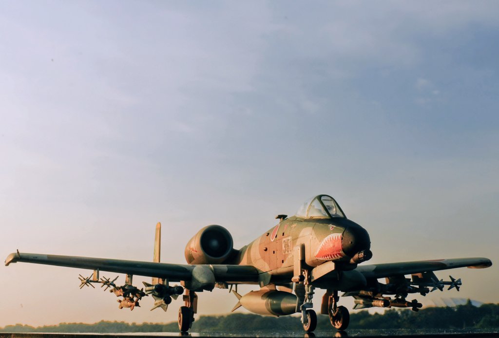 たま模型 tweet media