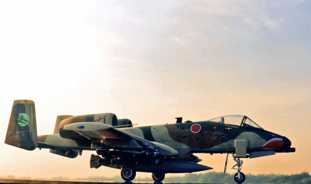 たま模型 tweet media