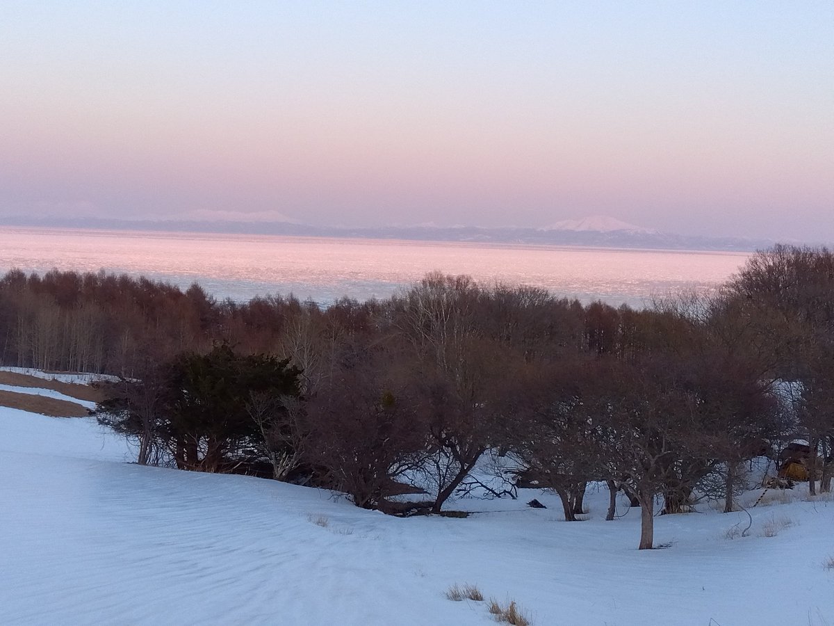 あら鷲 tweet media