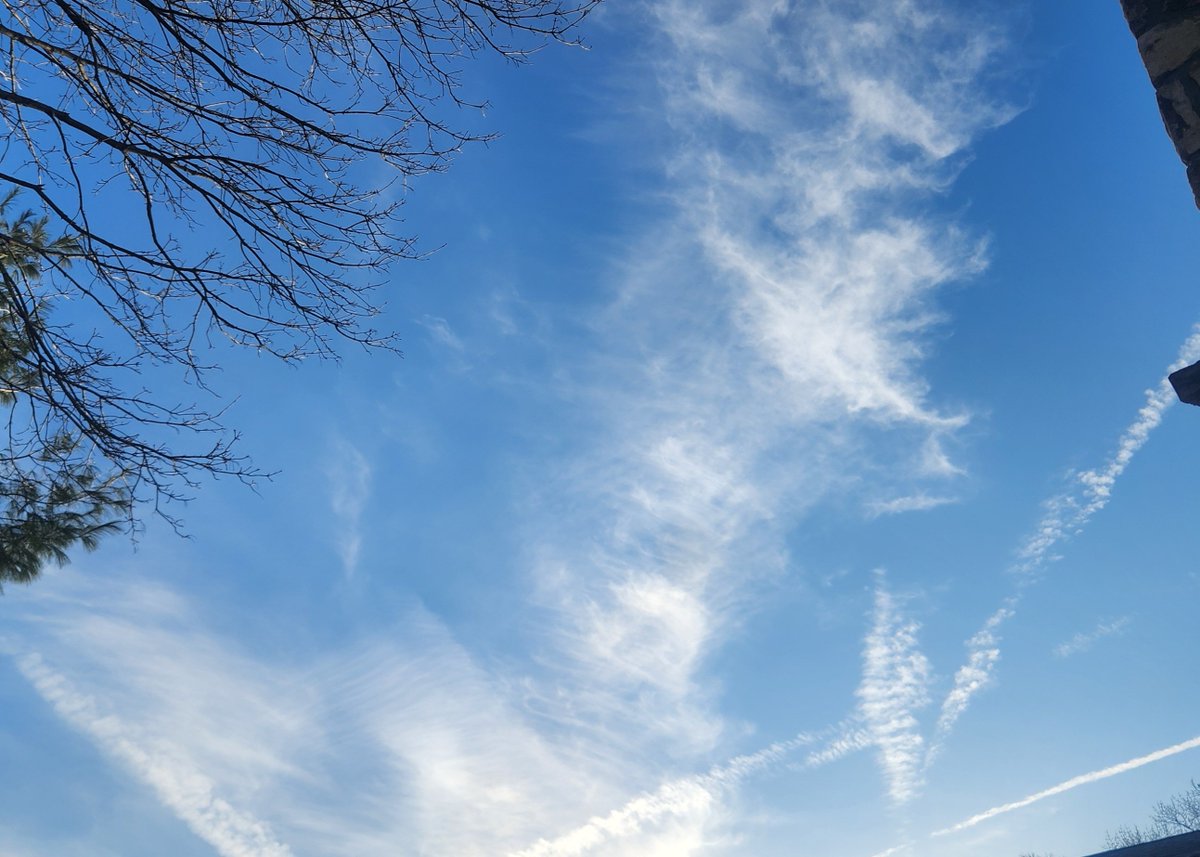 RISeaAndSkyWatch tweet media