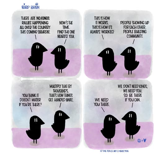 Timberwolf tweet media