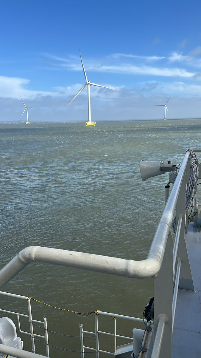 The WOWS tweet media