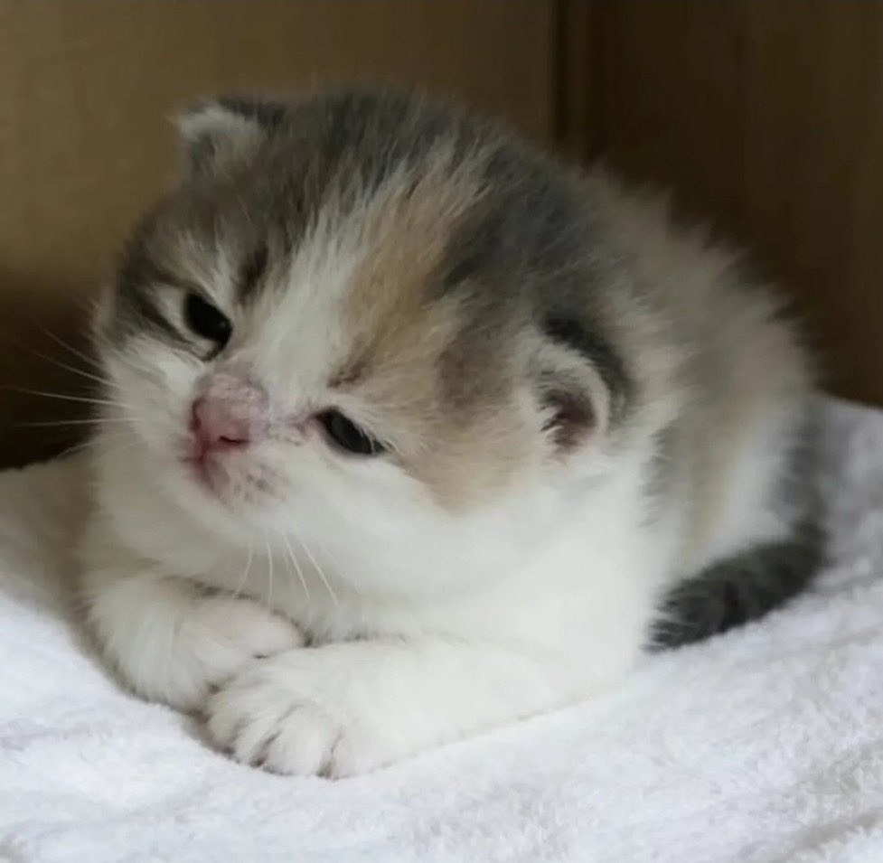 ชันลึมเขียนบอกคุณป้าว่าไม่ใส่ถั่วงอกอะมี๊..ชันต้องออกจากคอมฟอดโซนแล้หลอ มี๊..