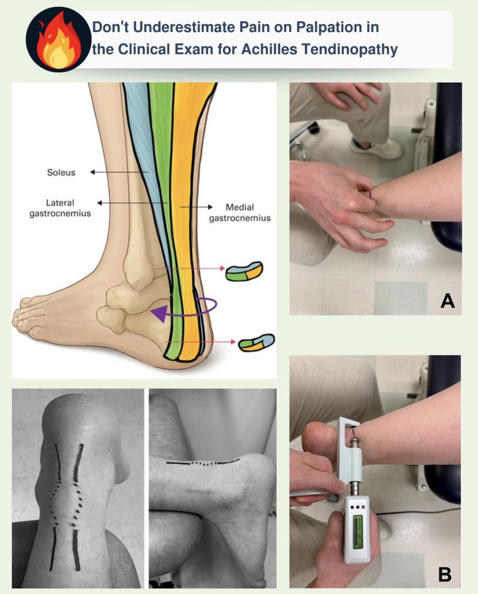 Faraz Sethi tweet media