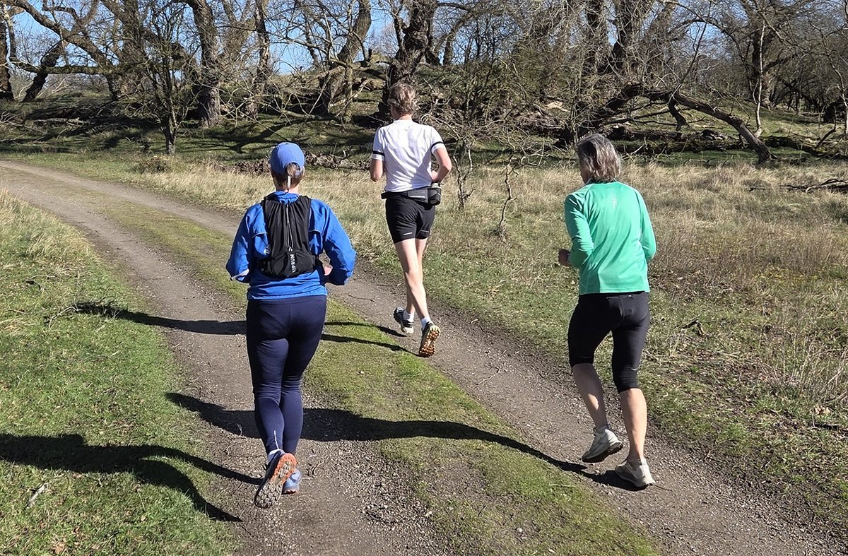 Nieuwe Meerbode tweet media