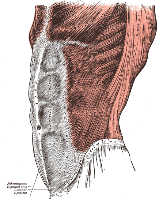 FitnessHacks101's tweet photo. 6 Reasons Anterior Core Stability Exercises Are Essential https://t.co/Hk8blQfD0s
#CoreStability #FitnessTips #StrengthTraining #CoreWorkout #FunctionalFitness #HealthAndWellness #FitnessMotivation #WorkoutRoutine #ExerciseScience #StrongerCore #FitnessHacks #WellnessJourney #BodyBuilding #InjuryPrevention #FitnessCommunity