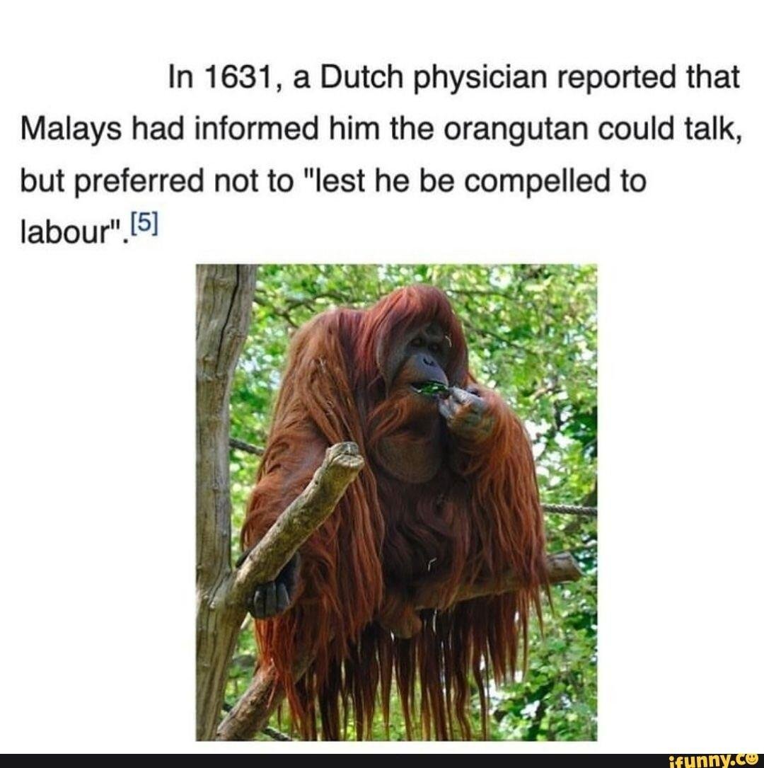 anabasine ☂️ tweet media