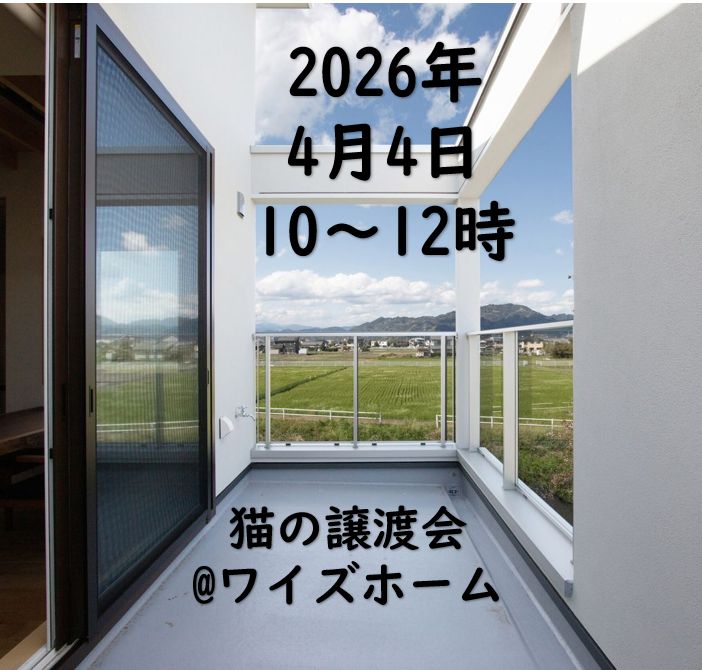 【譲渡会のお知らせ】
4月4日（土）10:00～12:00
@ワイズホーム　モデルハウス
（焼津市小川2628-12）

ベランダから花見ができるかも、です。
2Fで「地域猫活動」講習会を開催。

#しだはいワンニャンの会　#保護猫　#譲渡会　#花見　#地域猫