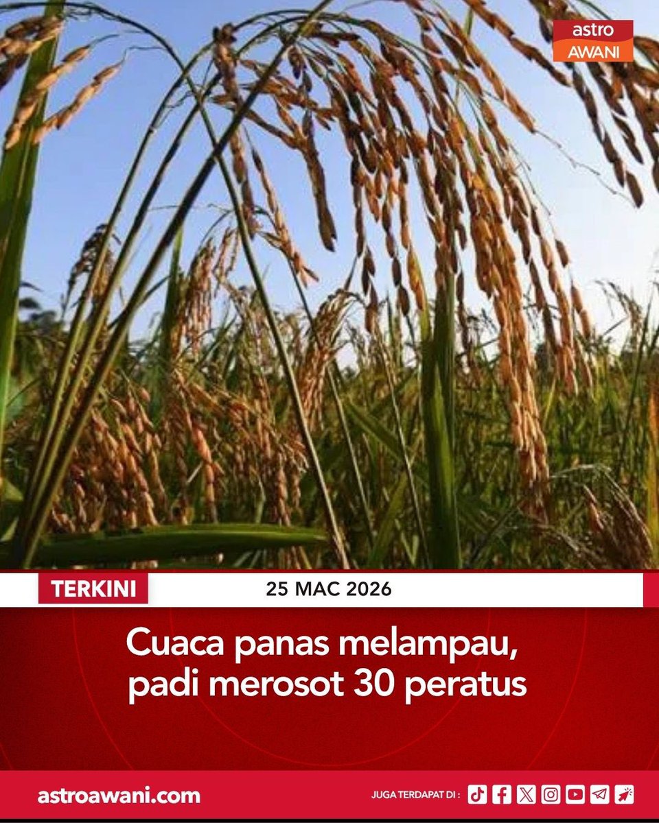 namjujunini tweet media