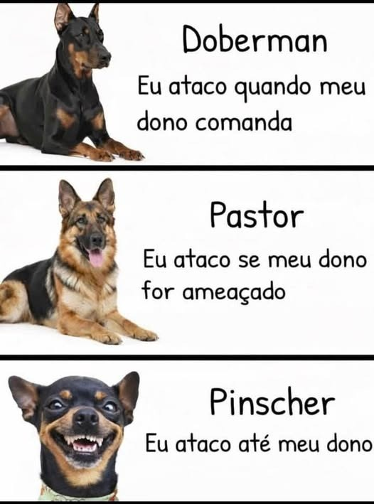 @pontinisandra McCartney tweet media