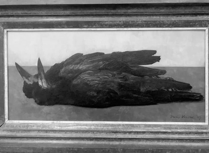 calie 𝜗ৎ tweet media