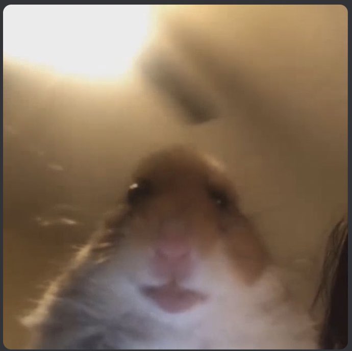 The Philosopher tweet media