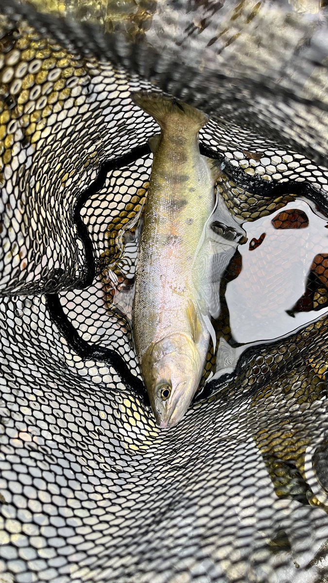 渡邉 紘 / co watanabe tweet media