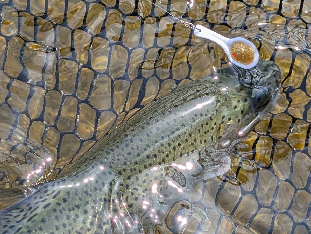 zattaTheBottle🍾🍻発売中！ tweet media