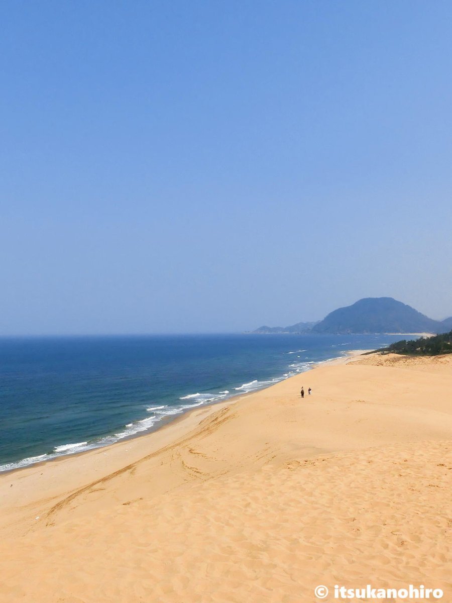 いつかのひろ tweet media