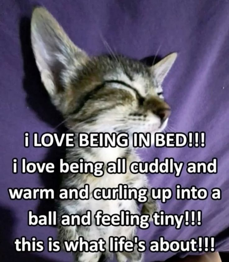 i drink soup tweet media