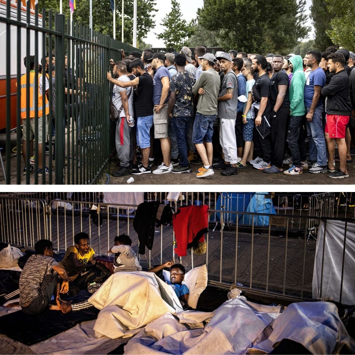 Albert Cremer tweet media