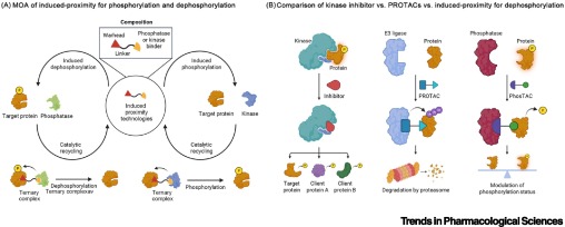Trends in Pharmacological Sciences tweet media