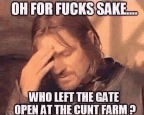 Sean McCool tweet media