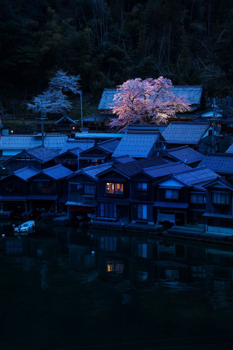 junichiro__t's tweet photo. 京都より少し遅く見頃を迎える丹後の桜

闇夜と静寂の伊根の舟屋群に浮かび上がる海蔵寺の夜桜、海に滲む姿も美しい… https://t.co/gHoJUOmIp0