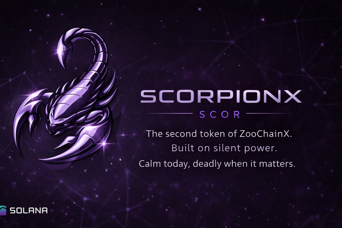 ZooChainX tweet media