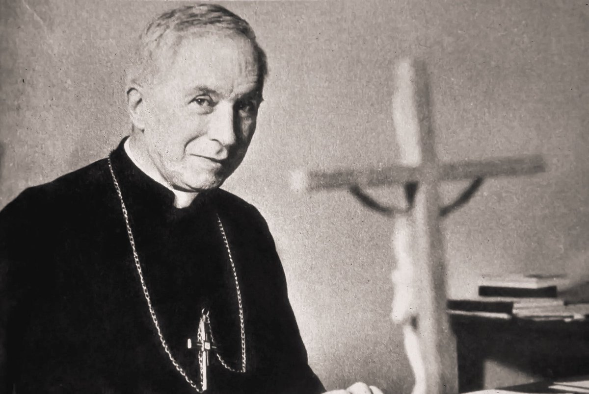 Traditional Catholic ☩ tweet media