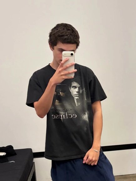 timothée chalamet's impregnator tweet media