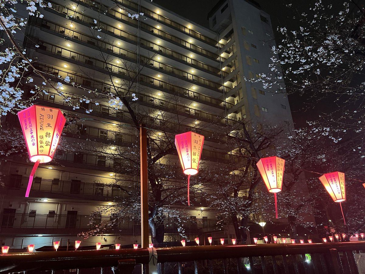 あきら🪽 tweet media