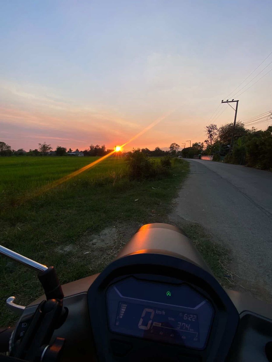 BIZZY199X😺🍊🍊 tweet media