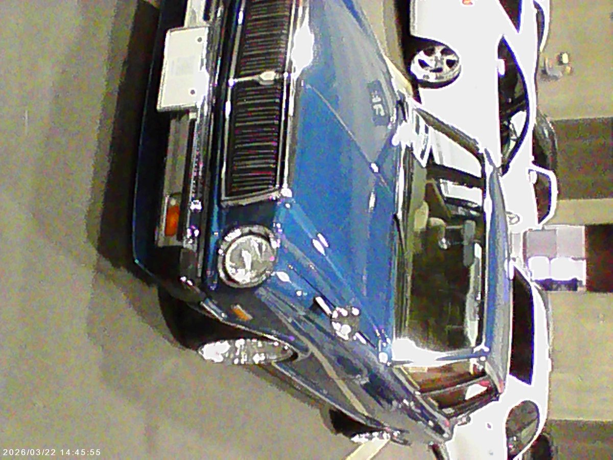 ヨッシー号 tweet media