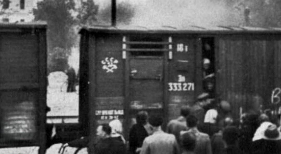 Massimo Spinelli tweet media