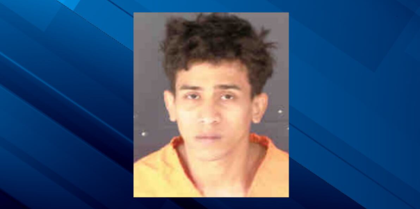 ABC7 Sarasota tweet media