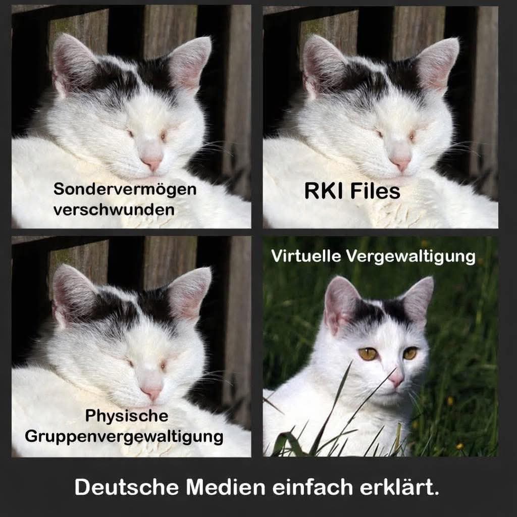 Deutsches Mädel tweet media