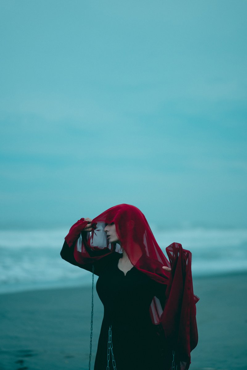 にゃにゃ🐾 tweet media