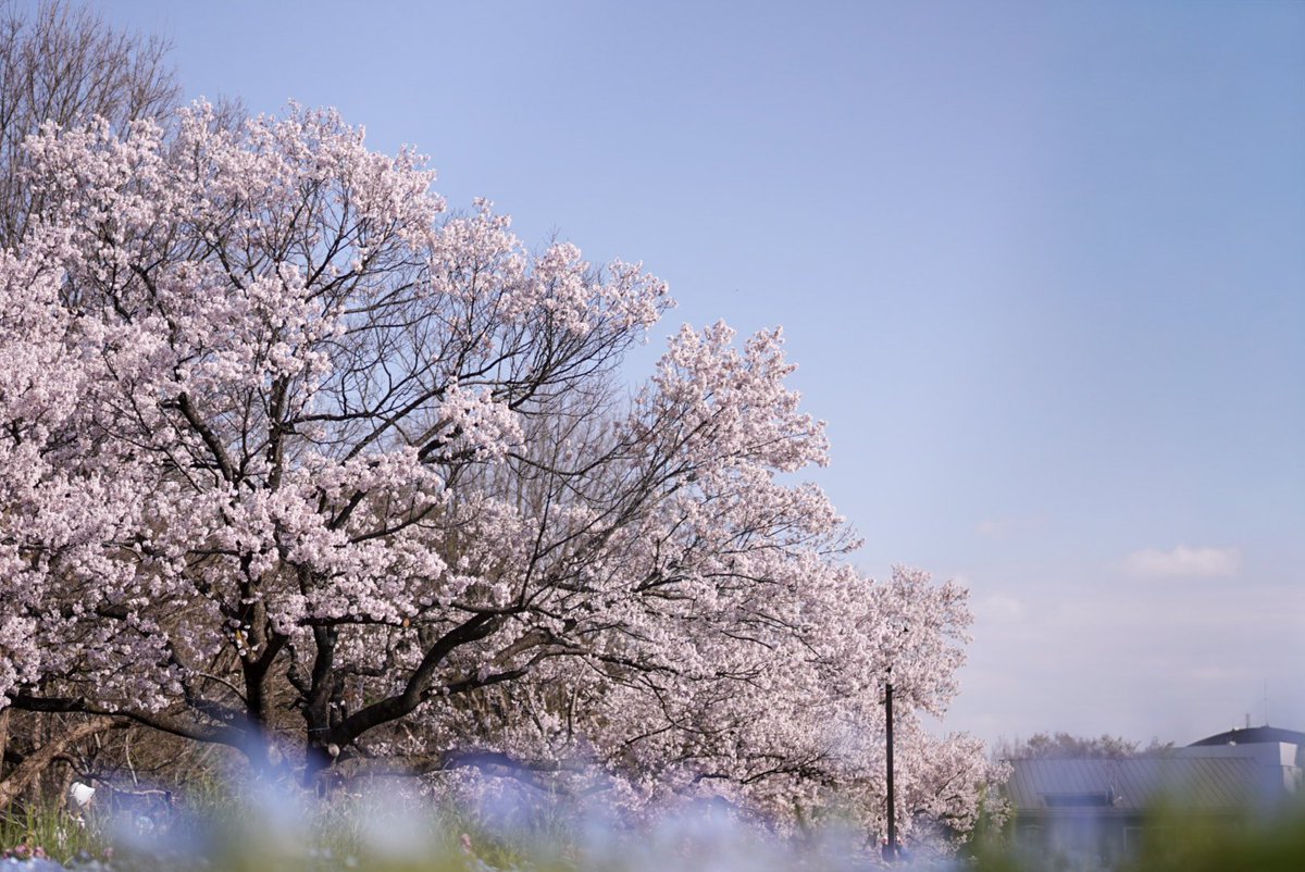 ふるむ〜ん@from my Balcony tweet media