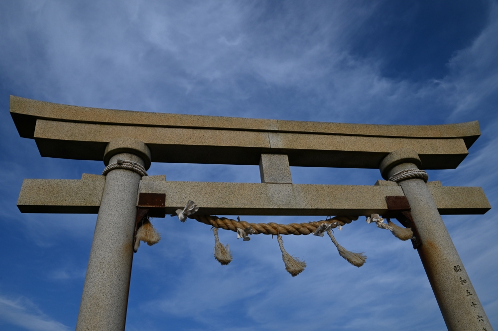 Zaurusu.y.加藤 tweet media